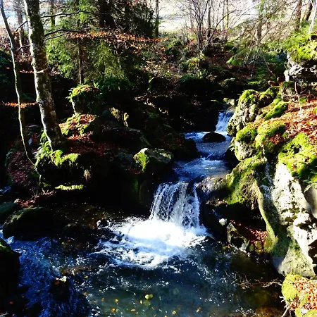 Le Pont Du Roy 3*