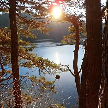 Le Pont Du Roy